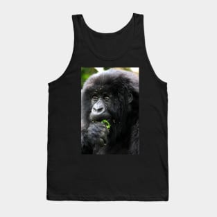 Juvenile Mountain Gorilla Eating, Kwitonda Group, Rwanda, East Africa Tank Top